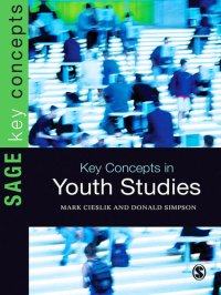 cover of the book Key Concepts in Youth Studies