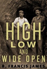 cover of the book High, Low and Wide Open