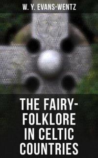 cover of the book The Fairy-Folklore in Celtic Countries