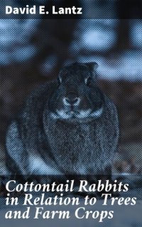 cover of the book Cottontail Rabbits in Relation to Trees and Farm Crops