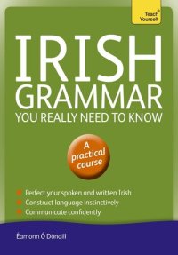 cover of the book Irish Grammar You Really Need to Know: Teach Yourself