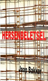 cover of the book Hersenbeletsel