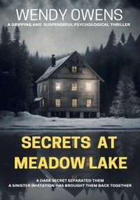 cover of the book Secrets At Meadow Lake