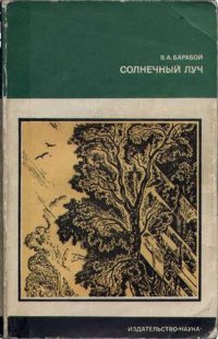 cover of the book Солнечный луч