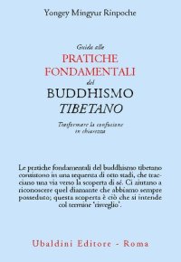 cover of the book Guida alle pratiche fondamentali del buddhismo tibetano. Trasformare la confusione in chiarezza