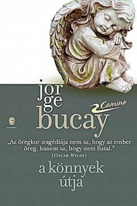 cover of the book A könnyek útja [Camino 3.]