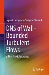 cover of the book DNS of Wall-Bounded Turbulent Flows. A First Principle Approach