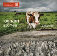 cover of the book Our Ancient Landscapes: Ogham Stones in Ireland