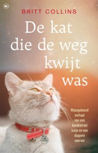 cover of the book De kat die de weg kwijt was