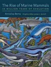 cover of the book The rise of marine mammals: 50 million years of evolution