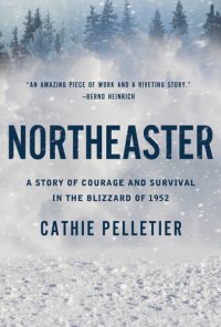 cover of the book Northeaster : A Story of Courage and Survival in the Blizzard of 1952