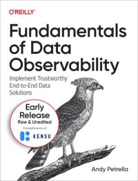 cover of the book Fundamentals of Data Observability (5th Early Release)