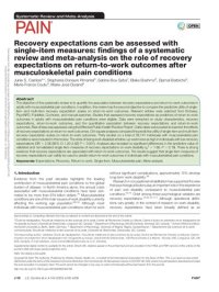 cover of the book Recovery expectations can be measured with single-item measures: findings of a systematic review and meta-analysis on the role of recovery expectations on return-to-work outcomes following musculoskeletal pain conditions