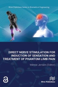 cover of the book Direct Nerve Stimulation for Induction of Sensation and Treatment of Phantom Limb Pain