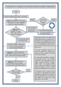 cover of the book Flowchart of Human Life on Earth from an Islamic Standpoint