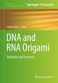 cover of the book DNA and RNA Origami : Methods and Protocols