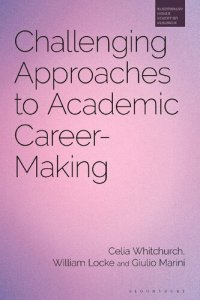 cover of the book Challenging Approaches to Academic Career-Making