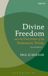 cover of the book DIVINE FREEDOM AND THE DOCTRINE OF THE IMMANENT TRINITY: IN DIALOGUE WITH KARL BARTH AND CONTEMPORARY THEOLOGY