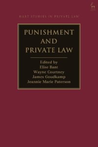 cover of the book Punishment and Private Law