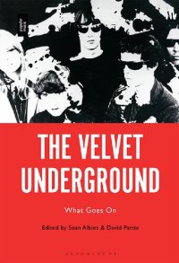 cover of the book The Velvet Underground: What Goes On