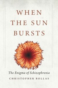 cover of the book When the Sun Bursts: The Enigma of Schizophrenia