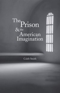 cover of the book The Prison and the American Imagination