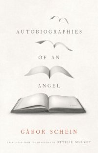 cover of the book Autobiographies of an Angel: A Novel