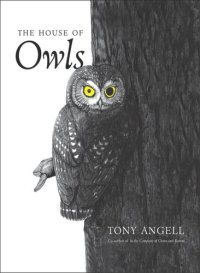 cover of the book The House of Owls