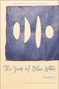 cover of the book The Year of Blue Water