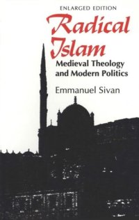 cover of the book Radical Islam