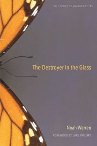 cover of the book The Destroyer in the Glass