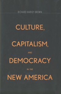 cover of the book Culture, Capitalism, and Democracy in the New America