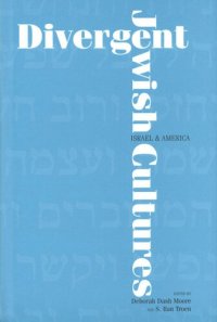 cover of the book Divergent Jewish Cultures: Israel and America