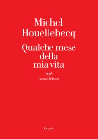 cover of the book Qualche mese della mia vita