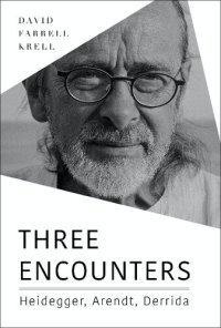 cover of the book Three Encounters: Heidegger, Arendt, Derrida