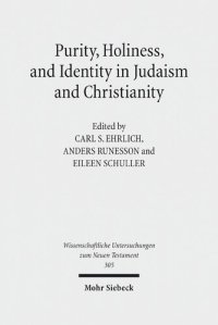 cover of the book Purity, Holiness, and Identity in Judaism and Christianity: Essays in Memory of Susan Haber