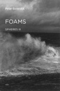 cover of the book Foams: Spheres Volume III: Plural Spherology