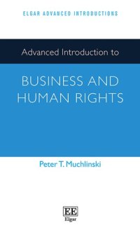 cover of the book Advanced Introduction to Business and Human Rights