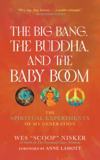 cover of the book The Big Bang, the Buddha, and the Baby Boom: The Spiritual Experiments of My Generation