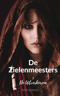 cover of the book Zielenmeesters 2 De uitverkorene