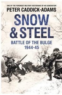 cover of the book Snow and Steel