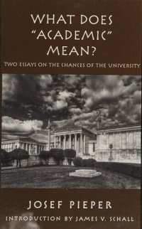 cover of the book What Does "Academic" Mean? Two Essays on the Chances of the University