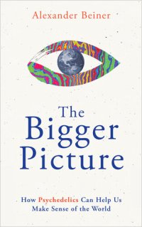 cover of the book The Bigger Picture