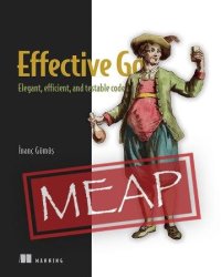 cover of the book Effective Go: Elegant, efficient, and testable code