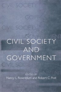 cover of the book Civil Society and Government