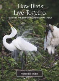 cover of the book How Birds Live Together: Colonies and Communities in the Avian World