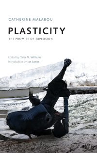 cover of the book Plasticity: The Promise of Explosion