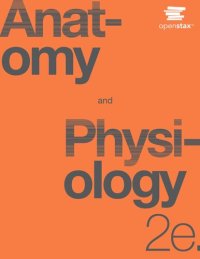 cover of the book Anatomy Physiology 2e