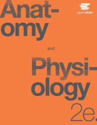 cover of the book Anatomy Physiology 2023 second edition 2e