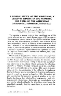 cover of the book A generic review of the Amiseginae, a group of phasmatid egg parasites, and notes on the Adelphinae (Hymenoptera, Bethyloidea, Chrysididae)